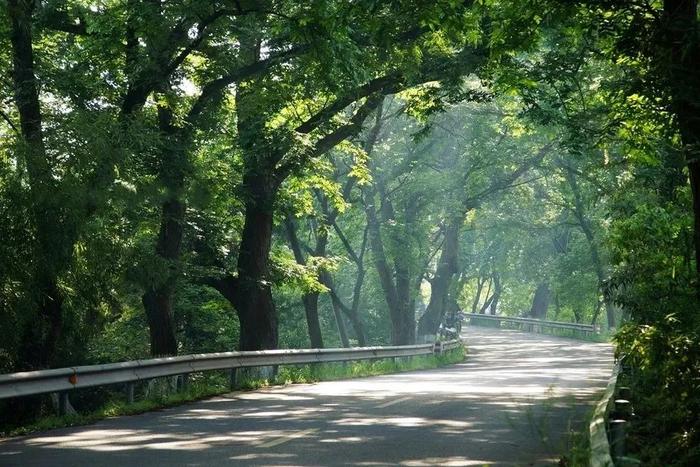 【探索】四条春日宝藏骑行路线，有没有你感兴趣的→