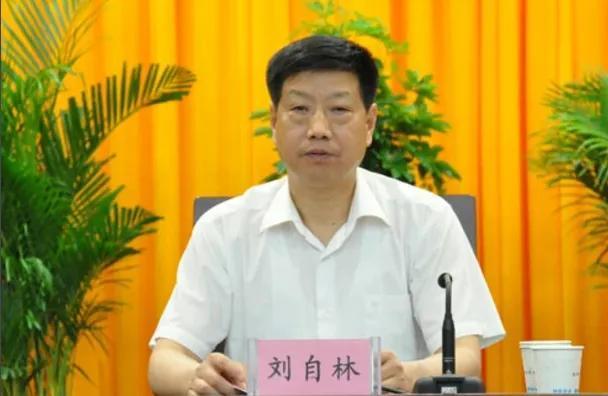 原安徽省食药监局局长刘自林，被查