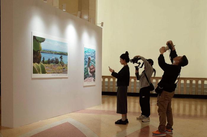有大师经典也有新锐实验，周末去逛影像上海艺术博览会