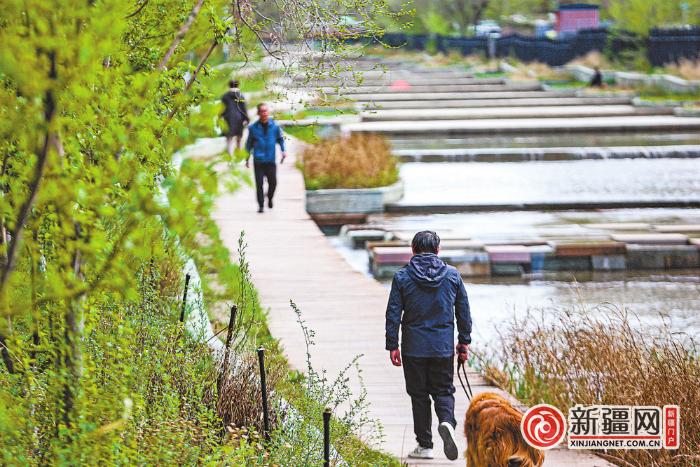 【绿水青山就是金山银山 | 践行绿色发展理念 建设生态美好家园】再生水进渠，和平渠重现水波