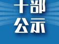 拟任职干部公示名单