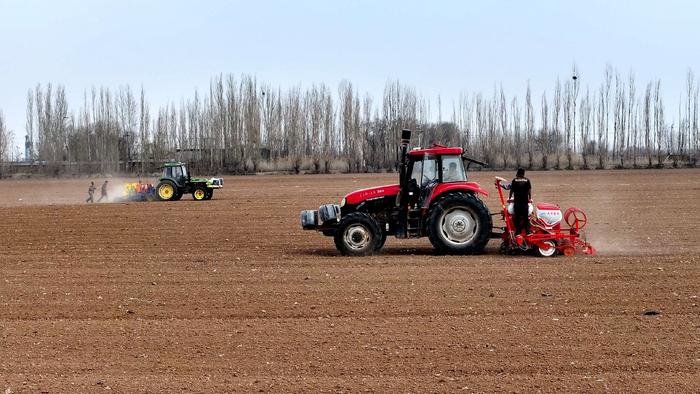 新疆：昌吉州大面积推广玉米种植新技术