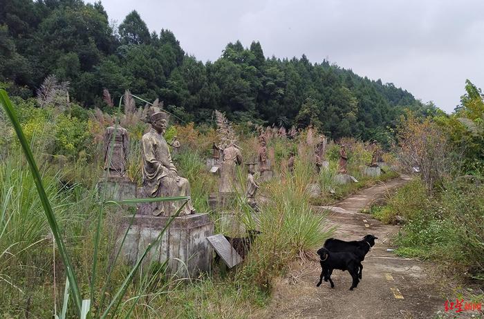 马上评丨网红景点烂尾，“带病上马”代价太大