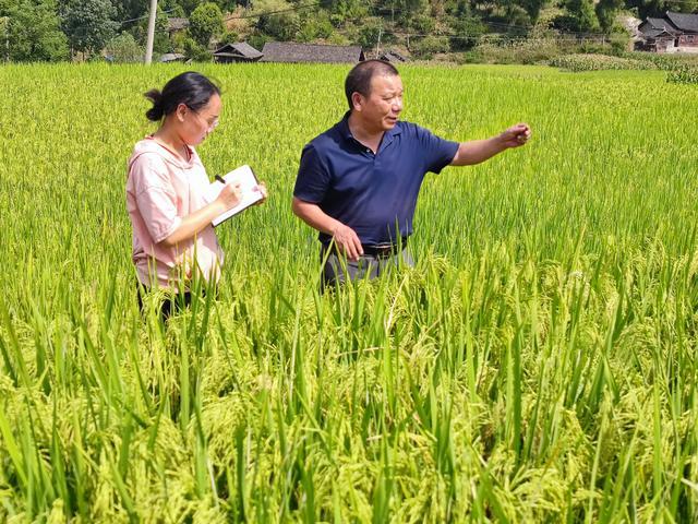 田洪刚： 用好技术种出好粮食