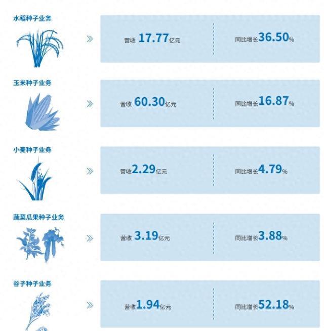 隆平高科跻身全球种业前八 裕丰303跻身全国玉米品种推广面积第一位