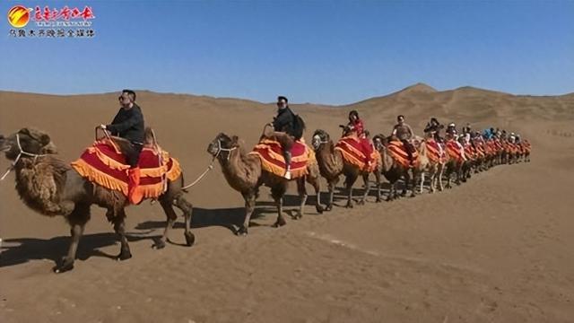 爱新疆 游家乡 | 服务区景区化 提供旅途新体验