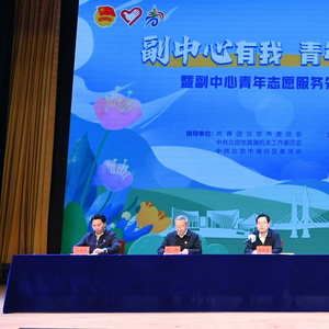 什么是青年先锋队 w300h300z1l10t10q10037c.jpg