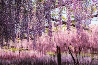 w700d1q75cms.jpg?by=cms_fixed_width