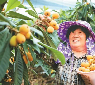 立夏：风暖昼长，万物并秀（二十四节气里的中医养生之道）