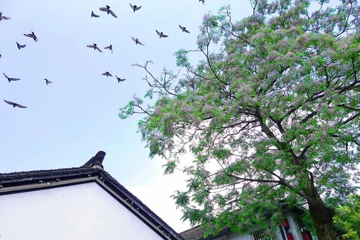 就在今晚！杭州新一轮大范围降雨来了！返程注意冰雹、雷暴大风……