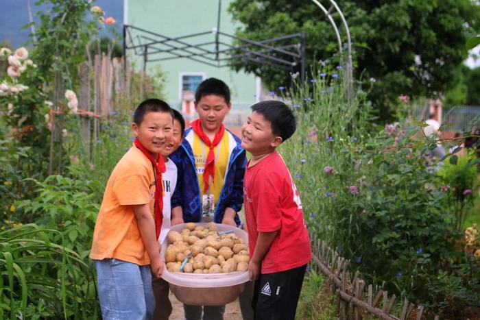 真正上好劳动课，还差哪几步？ | 劳动节话劳动课