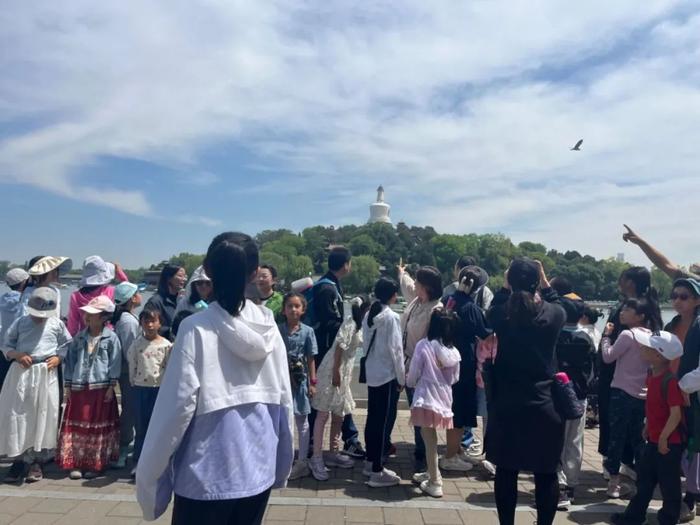 五一假期第三天，北海公园“与精灵共舞”科普之旅回顾