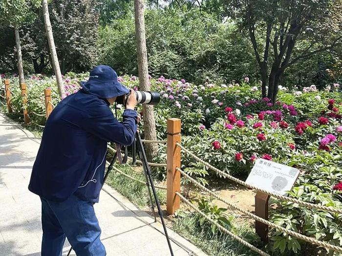 亲子拓展、免费游乐场……五一不远游，家门口的公园也超好玩