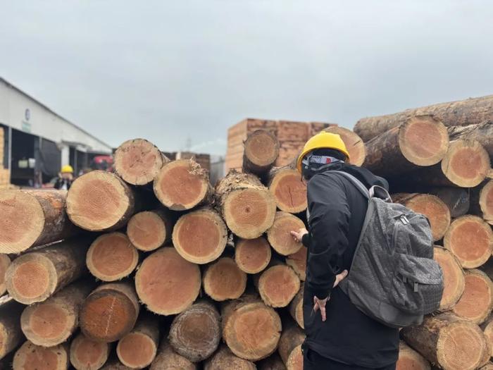 阅木集·原木上市报告：华东站（二）寒冬下的新趋势：中国原木加工企业悄然转型中