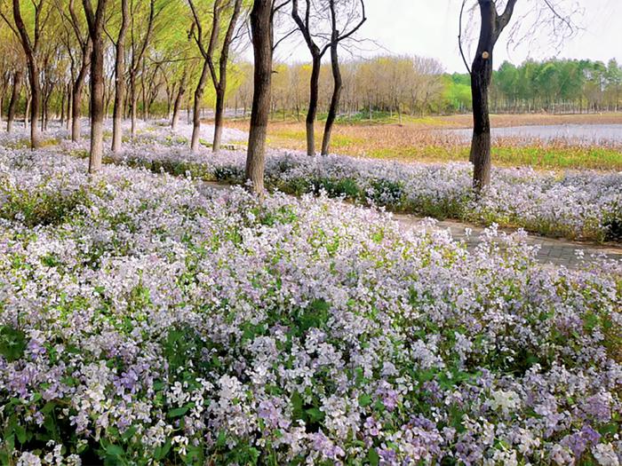 亲子拓展、免费游乐场……五一不远游，家门口的公园也超好玩