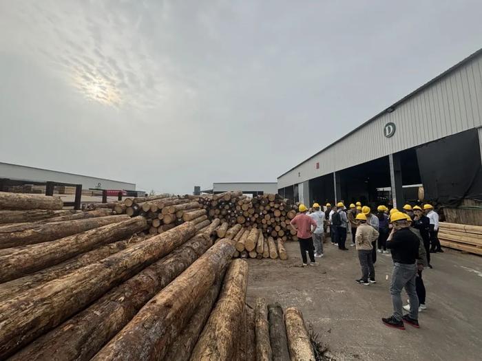 阅木集·原木上市报告：华东站（二）寒冬下的新趋势：中国原木加工企业悄然转型中