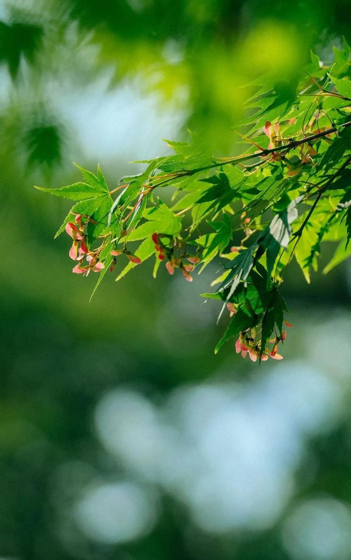 就在今晚！杭州新一轮大范围降雨来了！返程注意冰雹、雷暴大风……