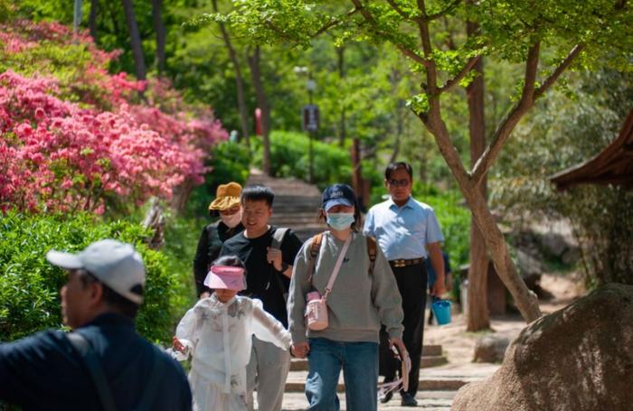 踏青赏花、民俗美食……这个假期，青岛这些打卡地火爆“出圈”