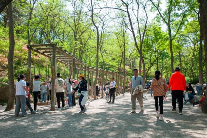 踏青赏花、民俗美食……这个假期，青岛这些打卡地火爆“出圈”