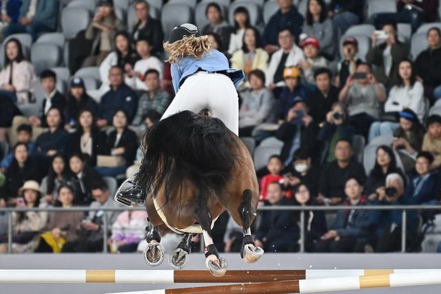 多图直击｜上海之跃：这个五一在黄浦江畔看一场马术盛宴