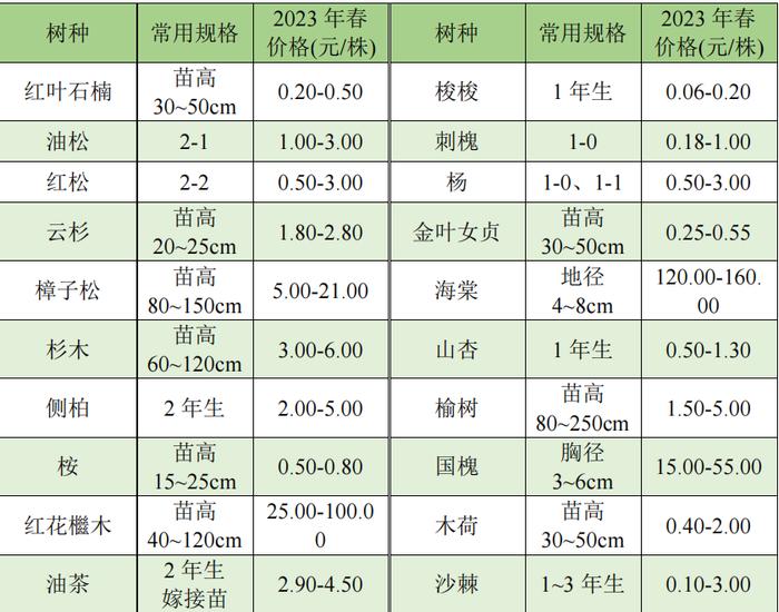 又臭又腥的石楠花，为什么满大街都种