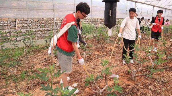 绵阳城市学院联合多部门举办劳动教育活动