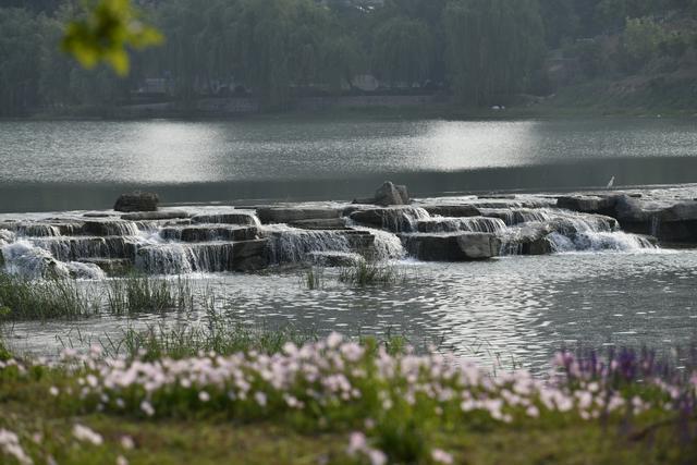 郑州西流湖公园：小瀑布与满地花正艳