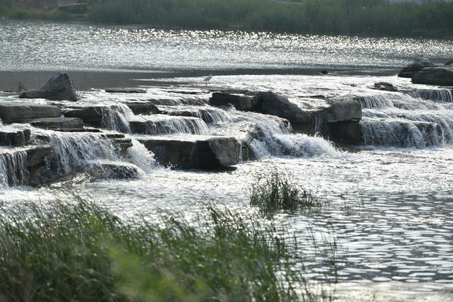 郑州西流湖公园：小瀑布与满地花正艳