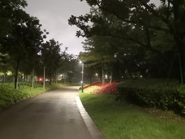 沪上24小时公园微调研：夜公园如何安全又友好？