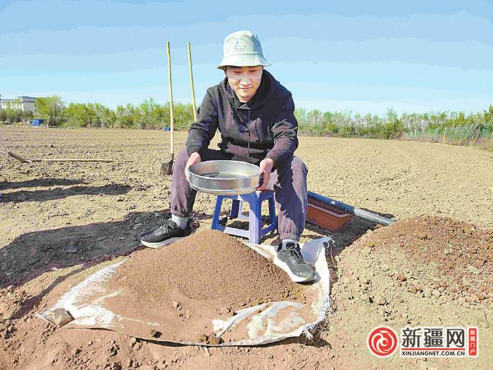 农田里的“课堂”——新疆农业大学开展“耕读教育”赋能“新农人”