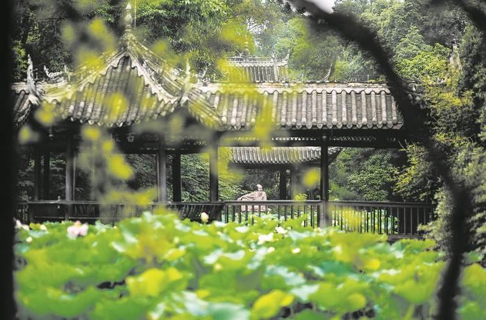 东坡与竹 一蓑烟雨任平生