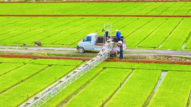 四川成都：机械化助力农业生产提质增效