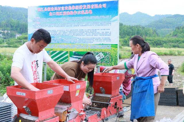 组图 | 德江荆角乡：水稻机械化育秧忙