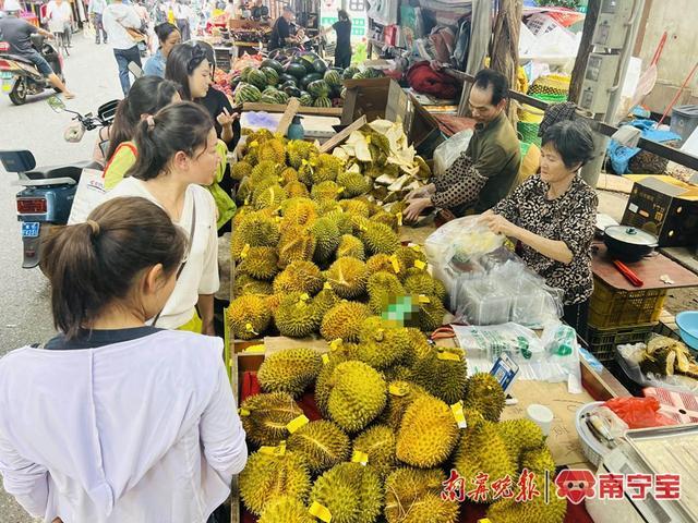 “水果之王”榴莲大量上市 “榴莲自由”已经到来？