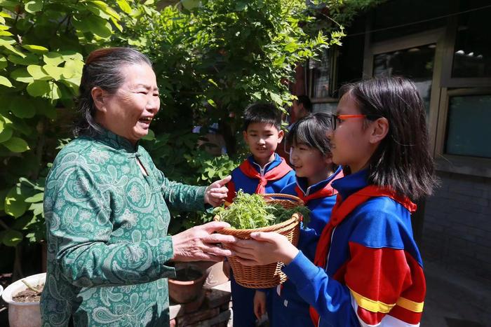 安定门街道：实践园里的第一波蔬菜，社区老人先尝鲜