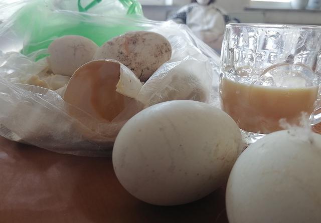 大连女子买了32个鹅蛋，回家后发现......根本不敢吃