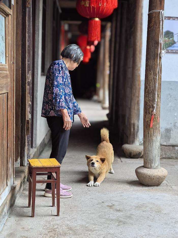 诗人采风浙江永康：与陈亮擦肩，为岩宕写诗