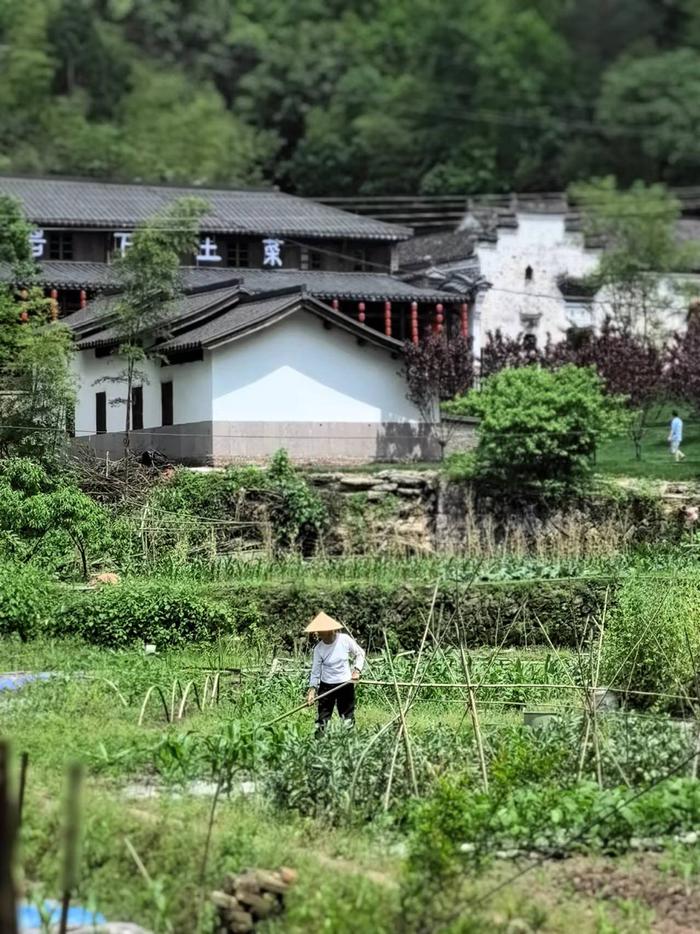 诗人采风浙江永康：与陈亮擦肩，为岩宕写诗