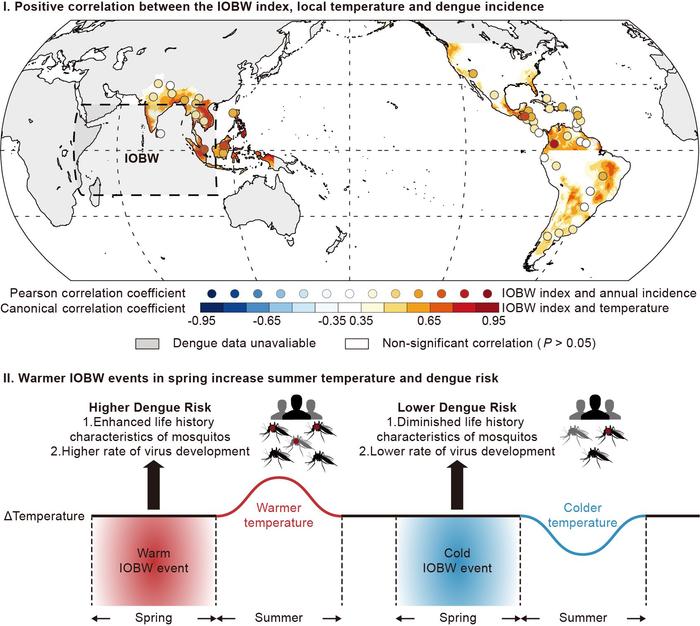 《科学》发表中国学者创建的预测模型：登革热流行可提前9个月预测