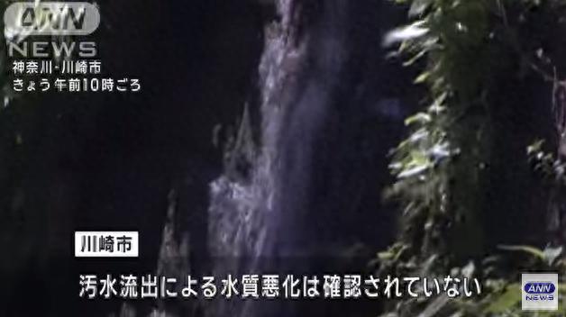 日本一综合设施污水连续38年直接排河 当地政府回应：对水质没影响