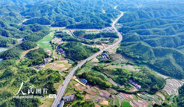 江西瑞金：路在景中延 车在绿中行