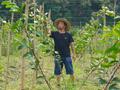 【天眼影像】从江：农技人员“呵护”百香果“甜蜜”成长
