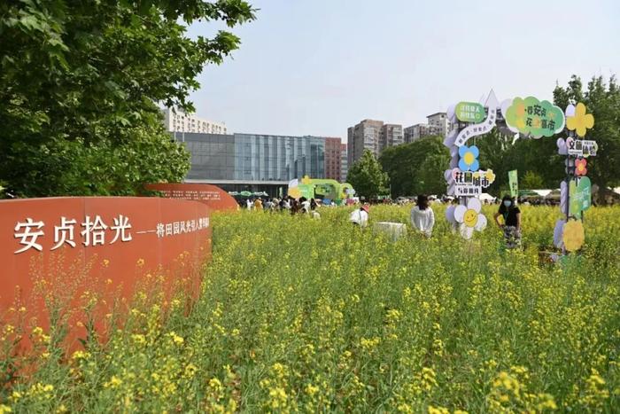 邂逅初夏，北京朝阳这处油菜花集等你来