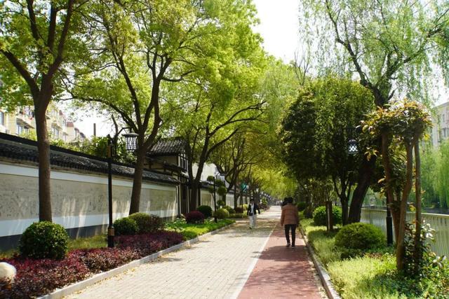 生态、水绿、便捷，一幅宜居社区图景正在上海新泾镇徐徐展开
