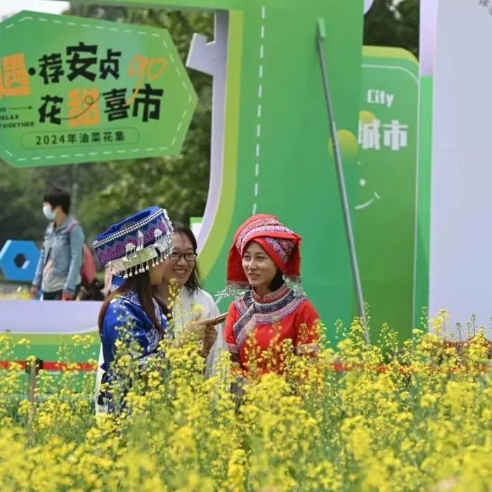 邂逅初夏，北京朝阳这处油菜花集等你来