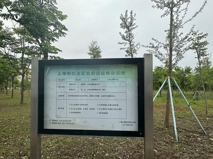 垃圾填埋场变身开放式林地，上海这里如何历经整改焕新颜？