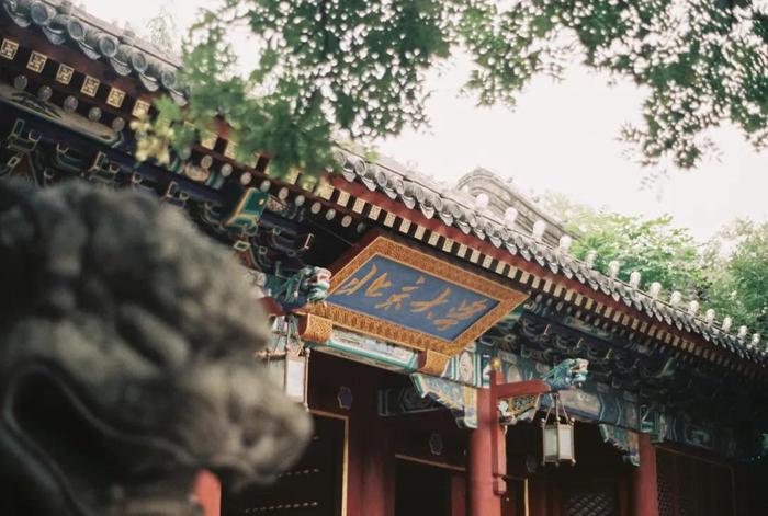 北京大学,图片来源:视觉中国