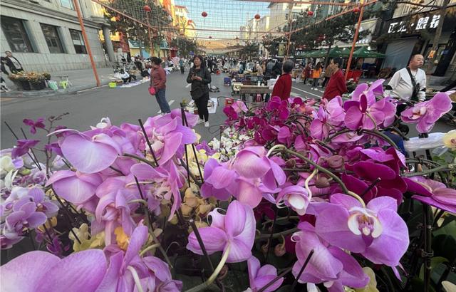 人间烟火味，最抚凡人心——临江市正阳路夜市掠影