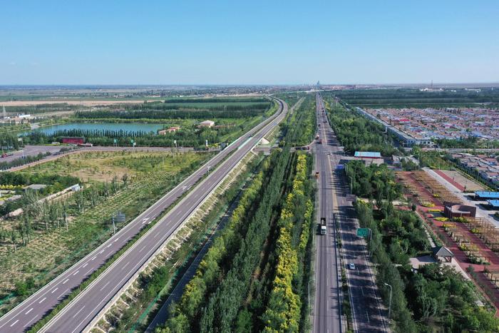 宁夏公路景观绿化探索“交通+农业”技术融合