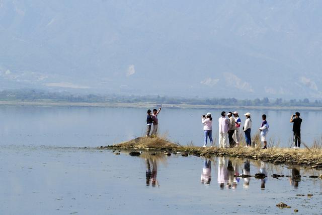 山西运城：千年盐湖“变身”生态游打卡点